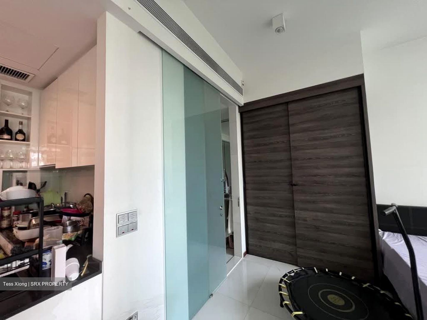 The Scotts Tower (D9), Condominium #600956921
